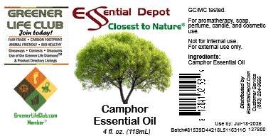 Camphor Essential Oil - 4 oz.