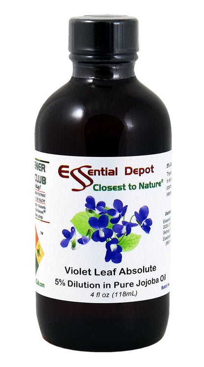 Violet Leaf Essential Oil 5% Dilution in Pure Jojoba - 4 fl oz