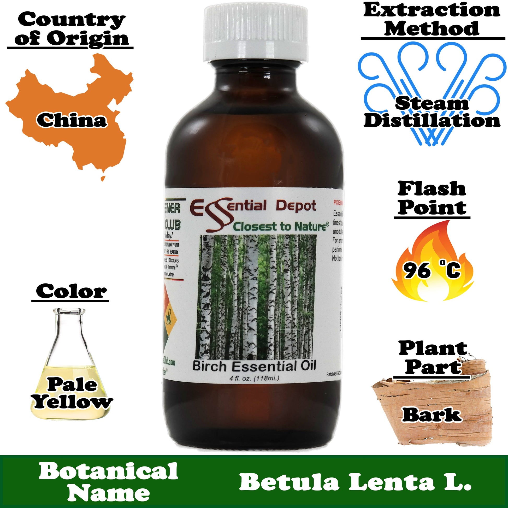 Birch Essential Oil - 4 oz.