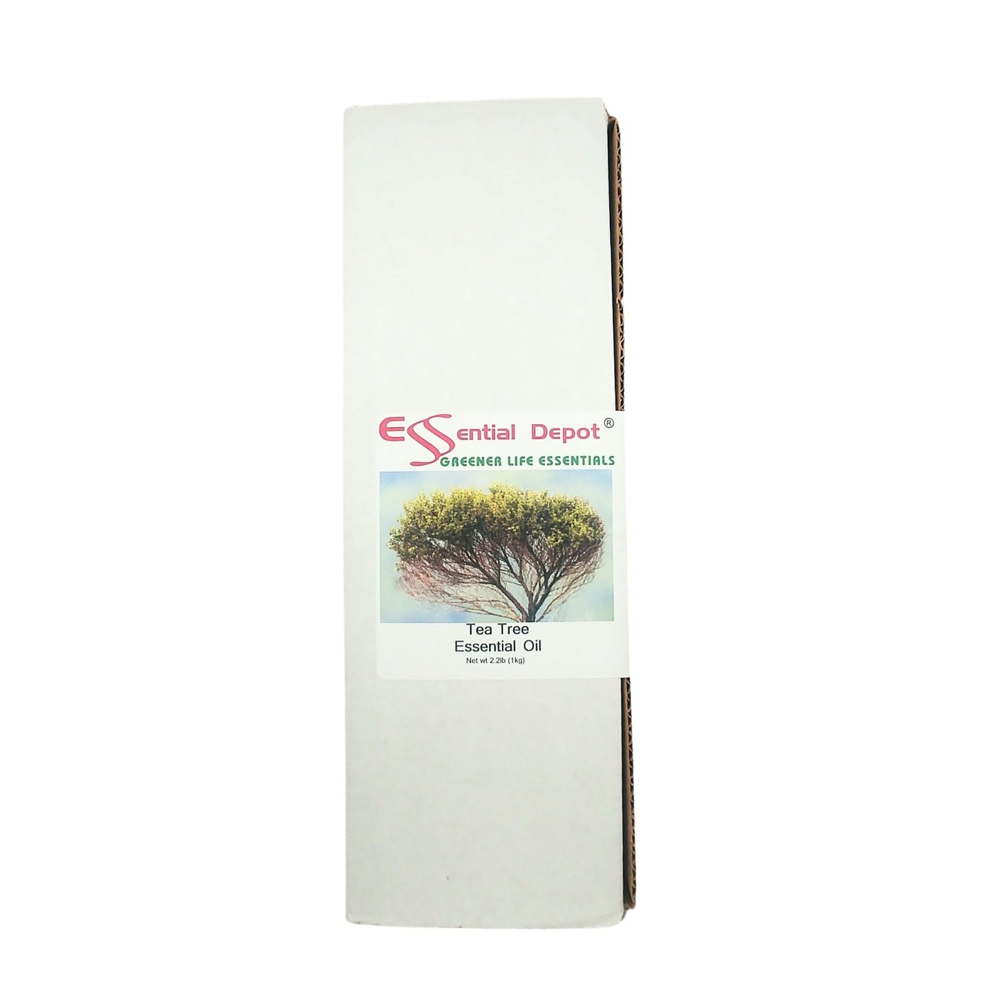 Tea Tree Essential Oil - 1 kg. - Approx 2.2 lbs.