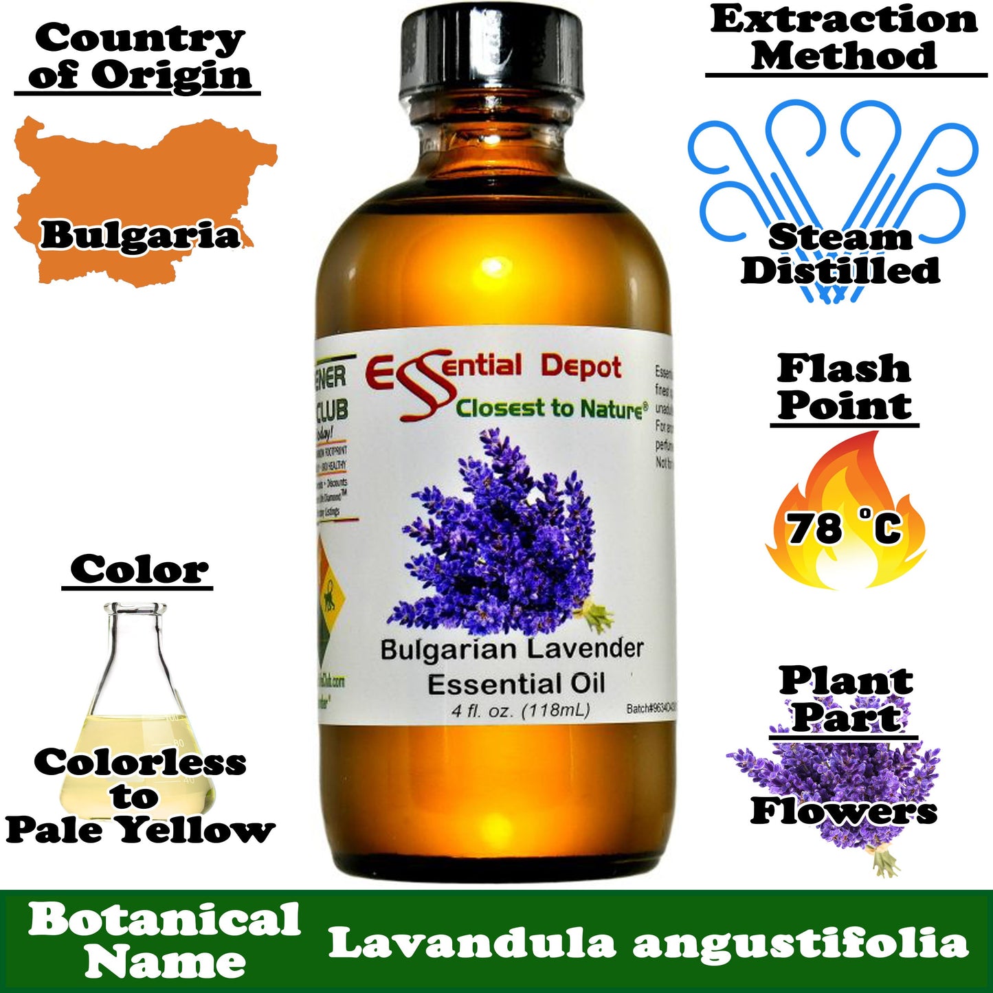 Lavender Bulgarian Essential Oil - 4 oz.