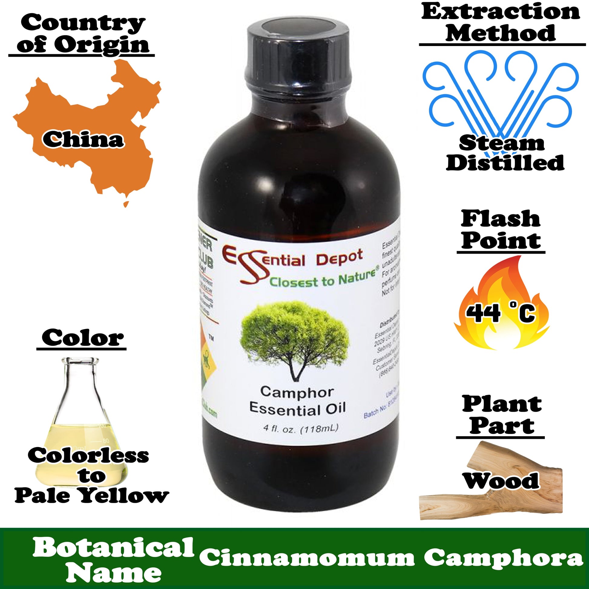 Camphor  Essential Oil - 4 oz.