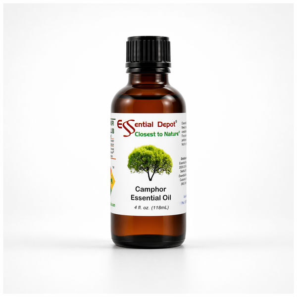 Camphor  Essential Oil - 4 oz.