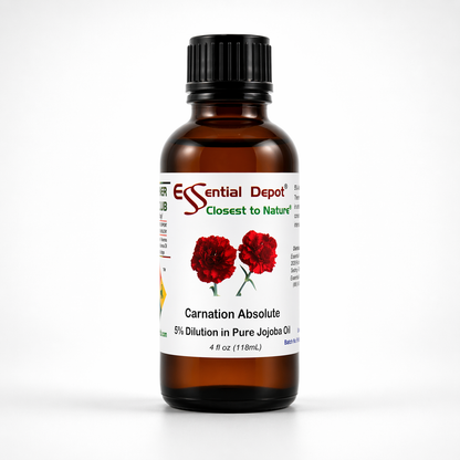 Carnation Absolute 5% Dilution in Pure Jojoba - 4 fl oz