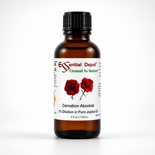 Carnation Absolute 5% Dilution in Pure Jojoba - 4 fl oz
