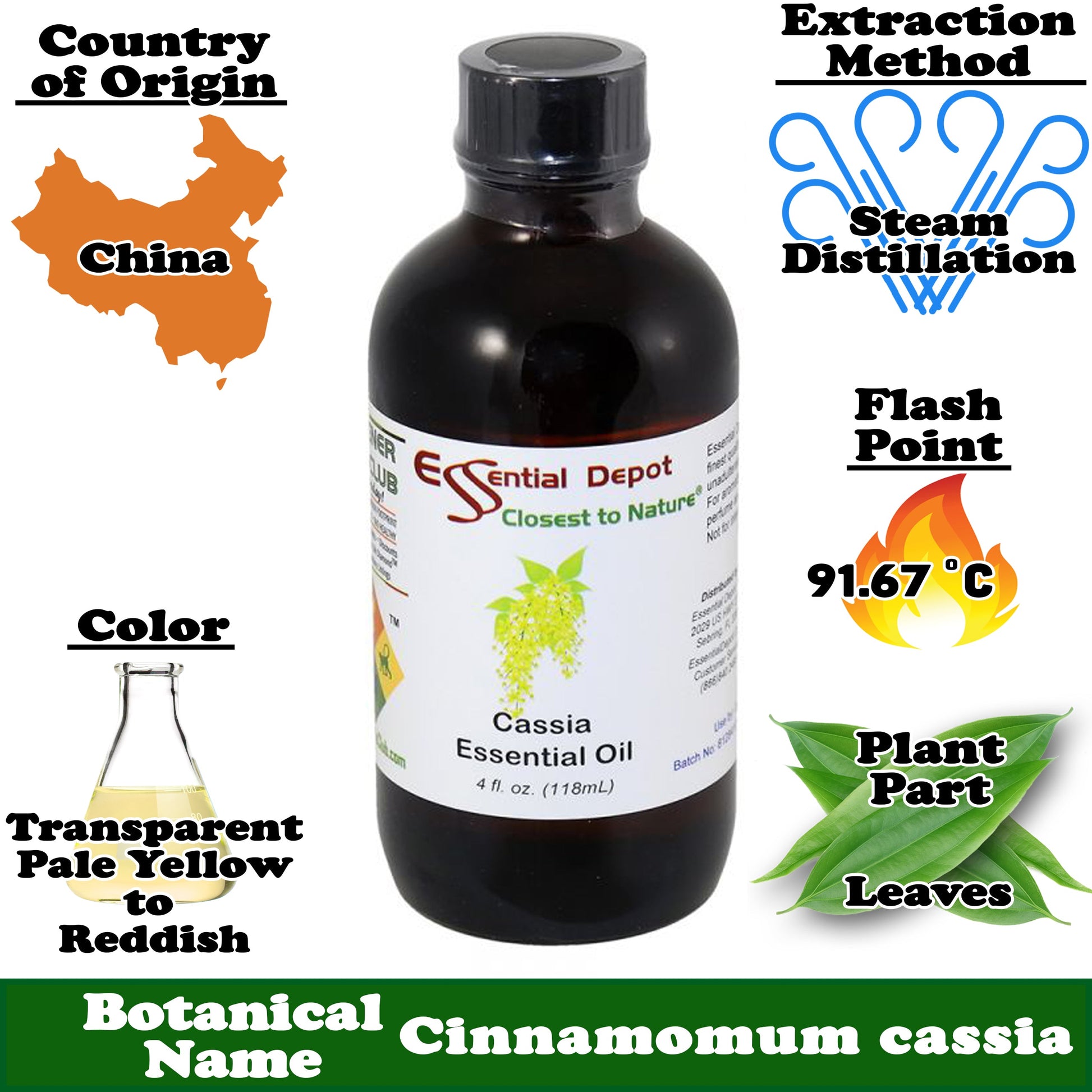 Cassia Essential Oil - 4 oz.