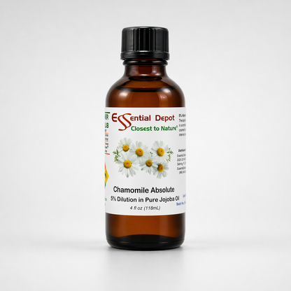 Chamomile Roman Essential Oil 5% Dilution in Pure Jojoba - 4oz