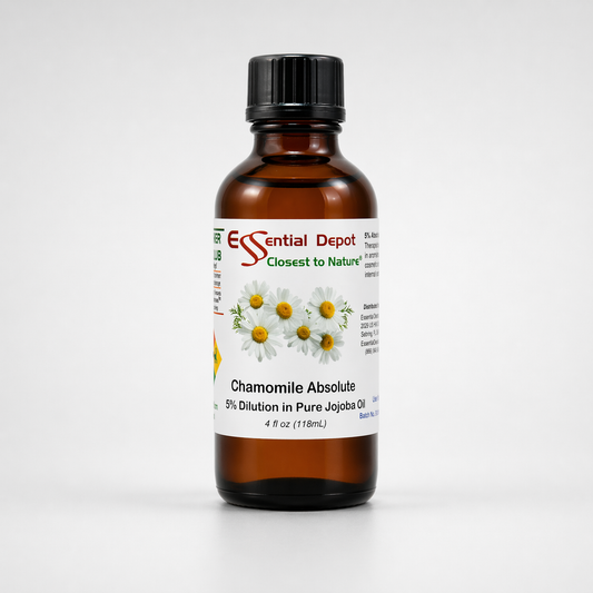 Chamomile Roman Essential Oil 5% Dilution in Pure Jojoba - 4oz