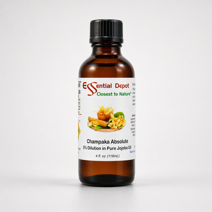 Champaka Absolute 5% Dilution in Pure Jojoba - 4 fl oz