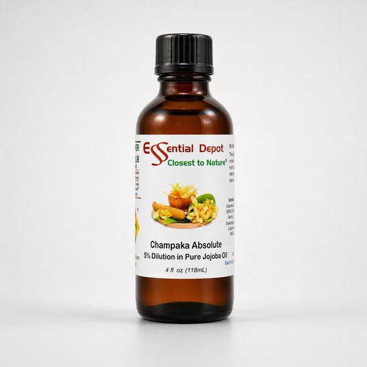 Champaka Absolute 5% Dilution in Pure Jojoba - 4 fl oz