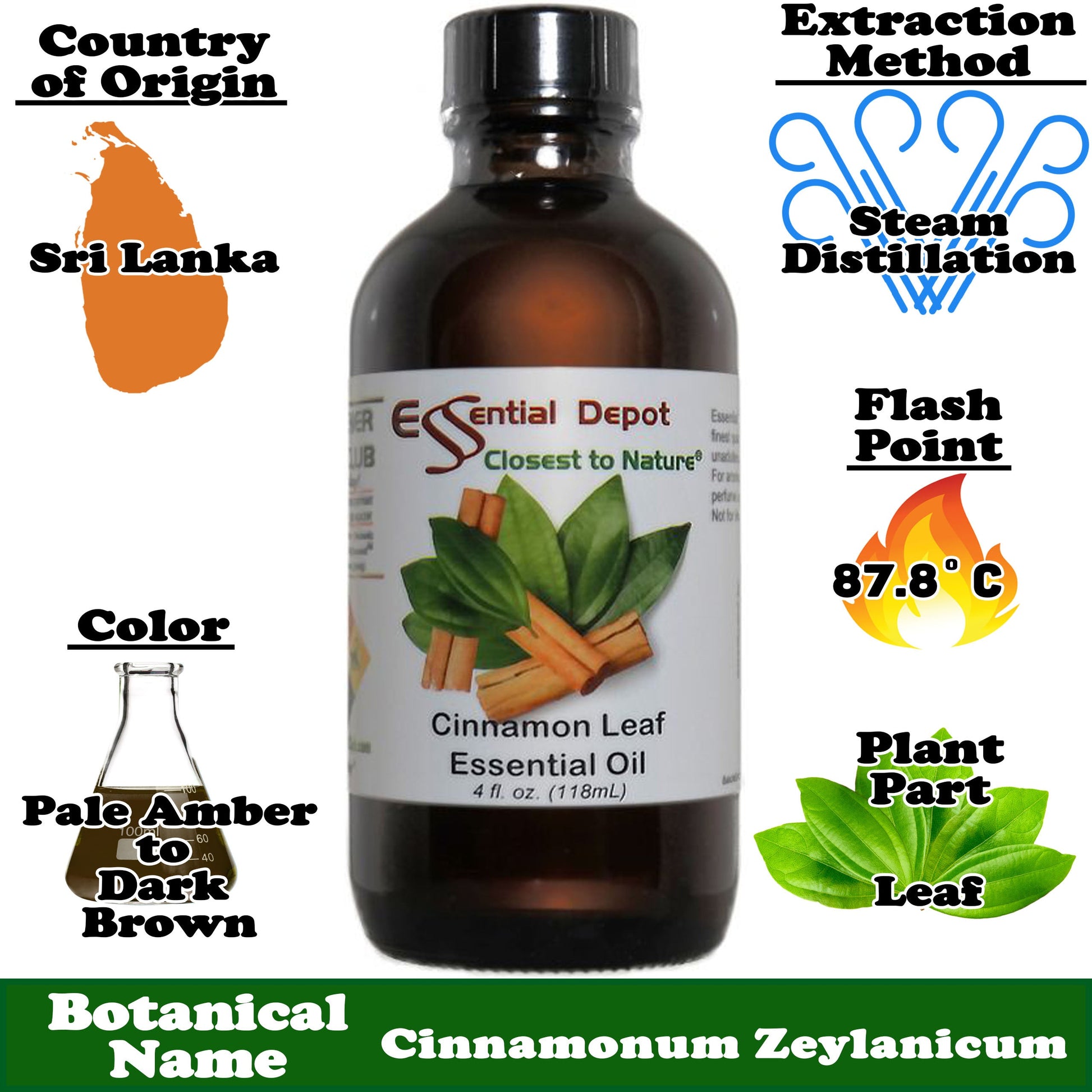 Cinnamon Leaf Essential Oil - 4 oz.