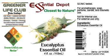 Eucalyptus Essential Oil - 4 oz.