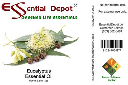 Eucalyptus Essential Oil - 1 kg. - Approx 2.2 lbs