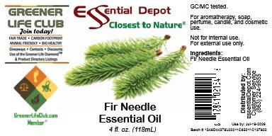 Fir Needle Essential Oil - 4 oz.