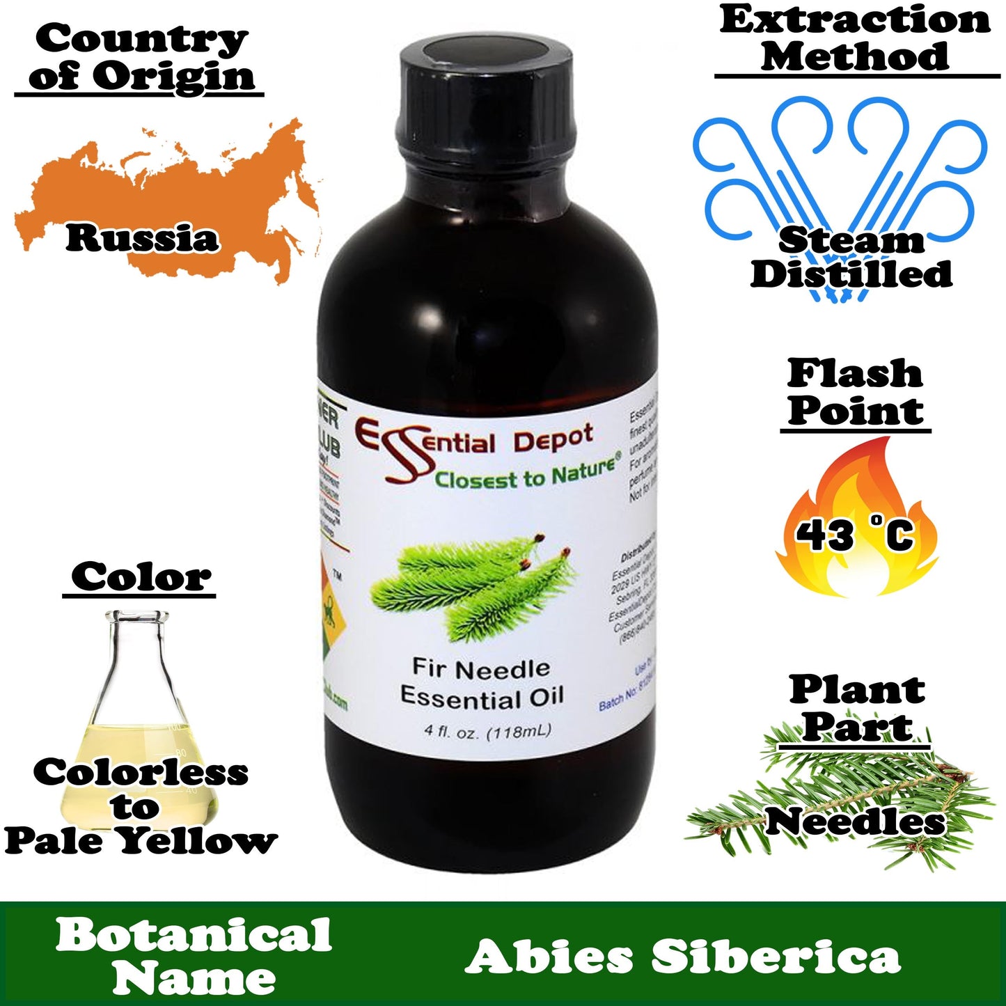 Fir Needle Essential Oil - 4 oz.