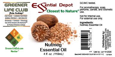Nutmeg Essential Oil - 4 oz.