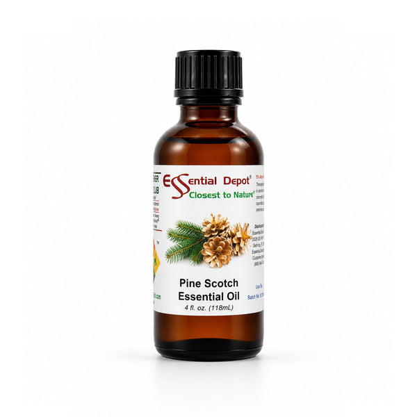 Pine Scotch Essential Oil - 4 oz.