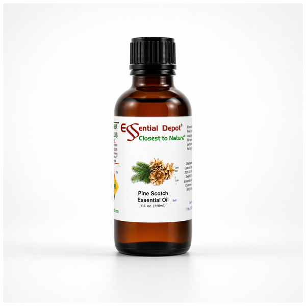 Pine Scotch Essential Oil - 4 oz.