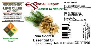 Pine Scotch Essential Oil - 4 oz.
