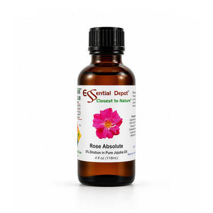 Rose Absolute 5% Dilution in Jojoba - 4 fl oz