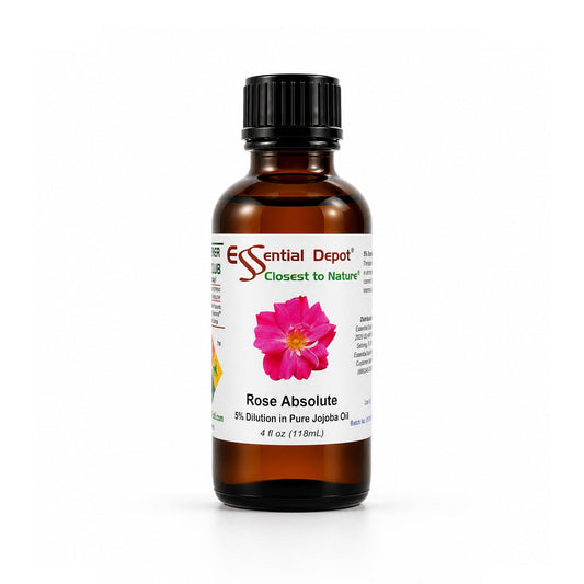 Rose Absolute 5% Dilution in Jojoba - 4 fl oz