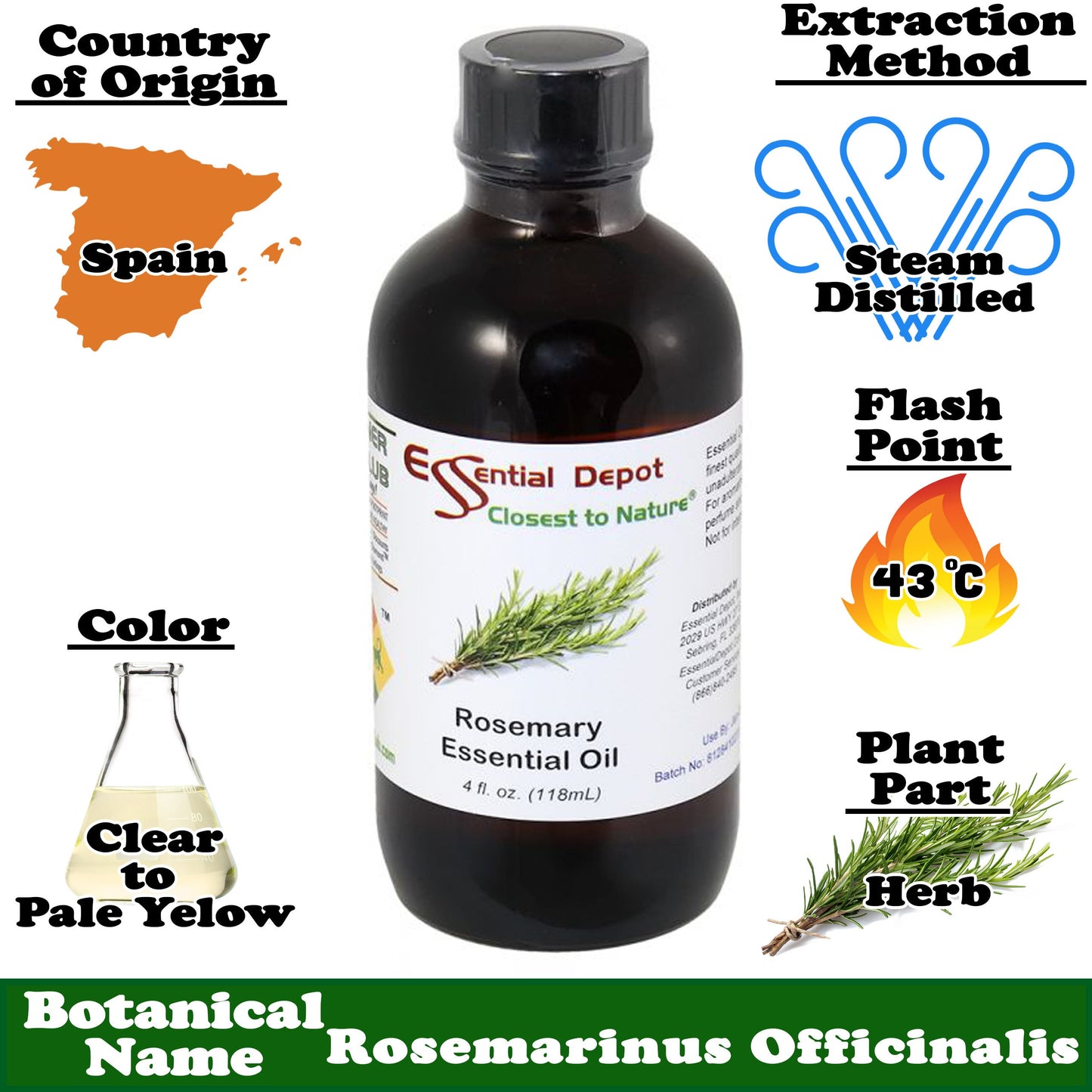 Rosemary Essential Oil - 4 oz.