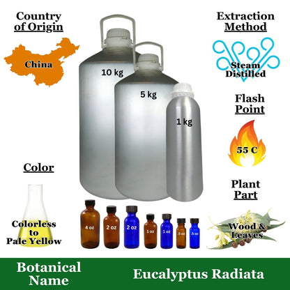 Eucalyptus Essential Oil - 1 kg. - Approx 2.2 lbs
