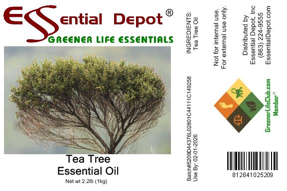 Tea Tree Essential Oil - 1 kg. - Approx 2.2 lbs.