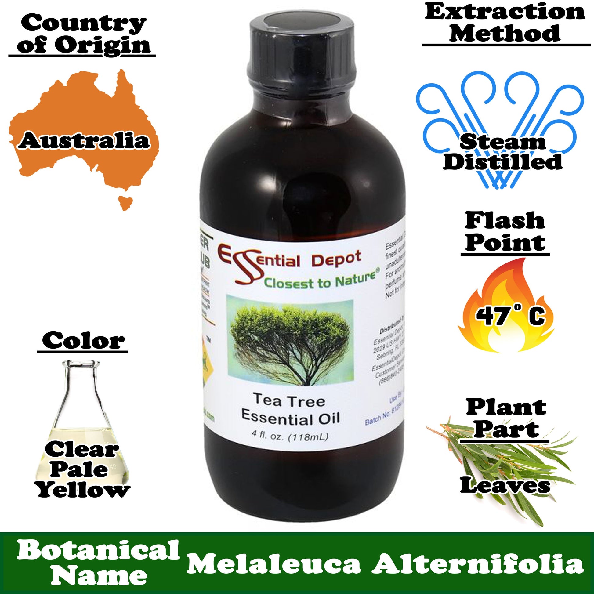 Tea Tree Essential Oil - 4 oz.