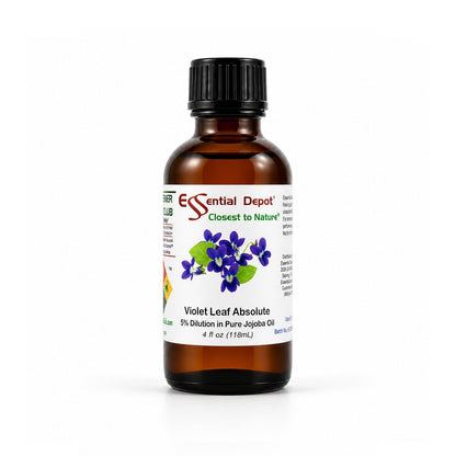 Violet Leaf Essential Oil 5% Dilution in Pure Jojoba - 4 fl oz