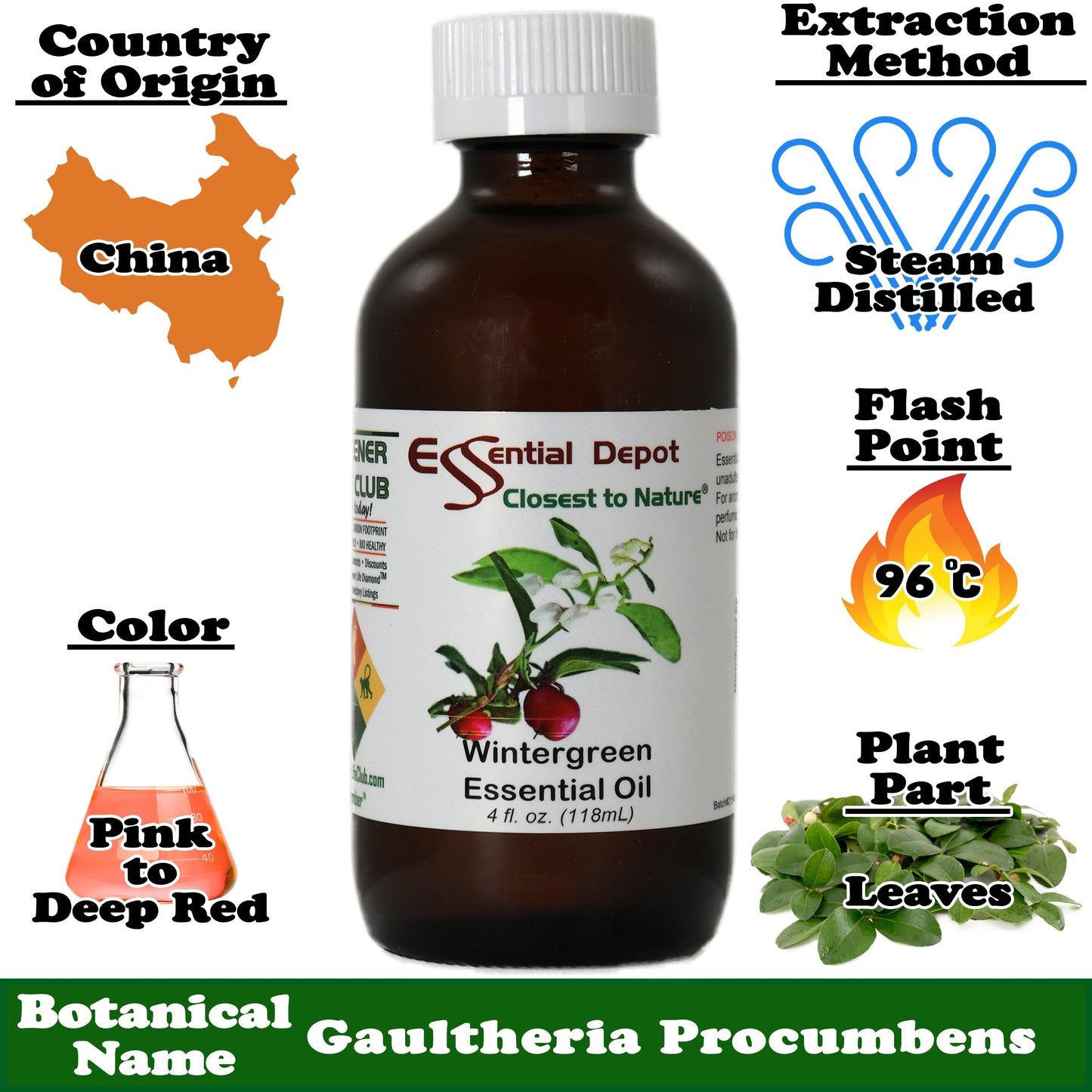 Wintergreen Essential Oil - 4 oz.