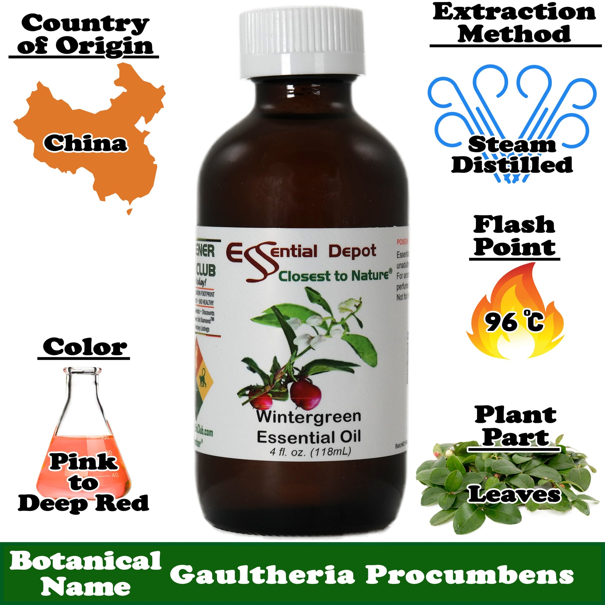 Wintergreen Essential Oil - 4 oz.